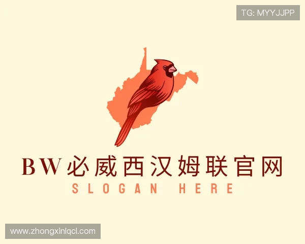 介绍bw必威西汉姆